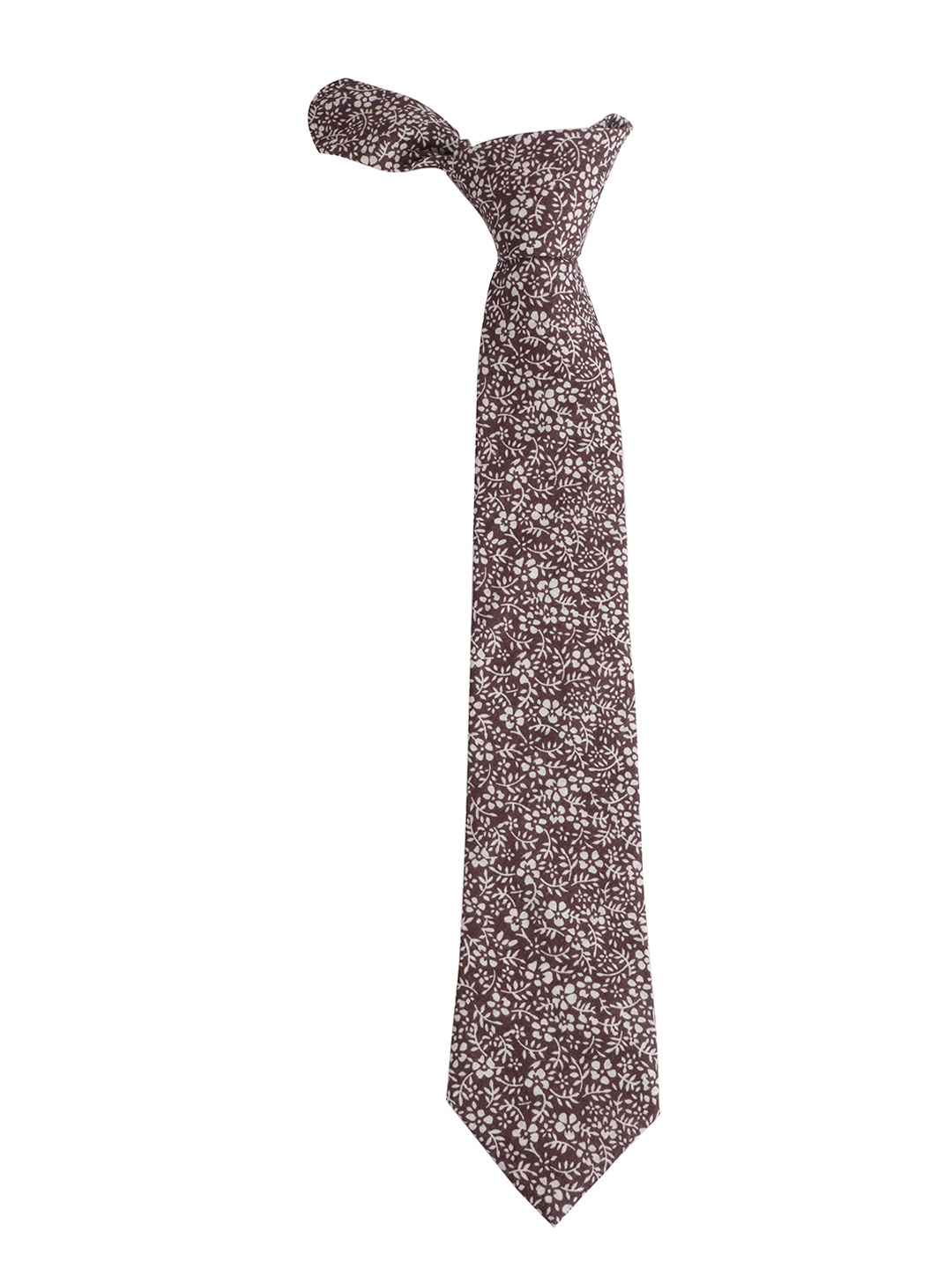 

Alvaro Castagnino Men White & Brown Printed Skinny Tie