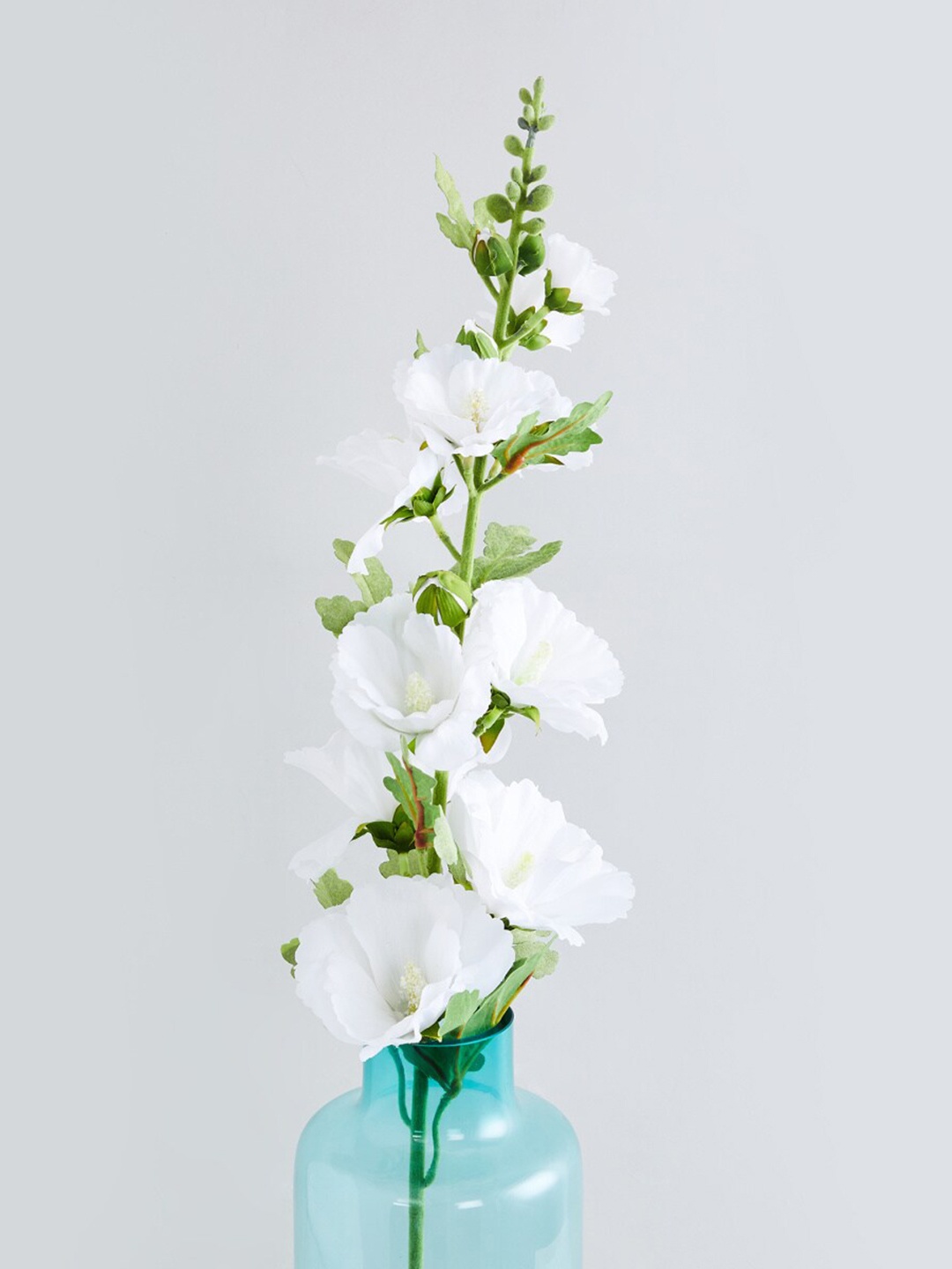 

Home Centre White Plastic Botanical-Flower