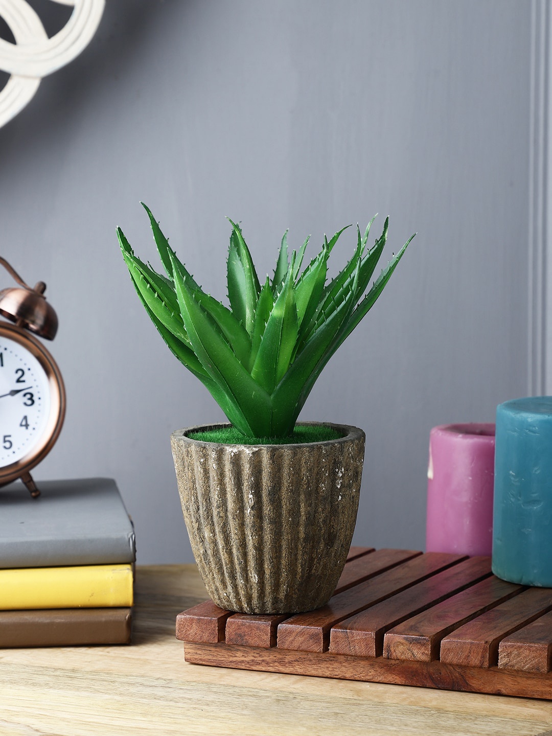 

FOLIYAJ Green & Brown Aloe Vera Plant with Pot