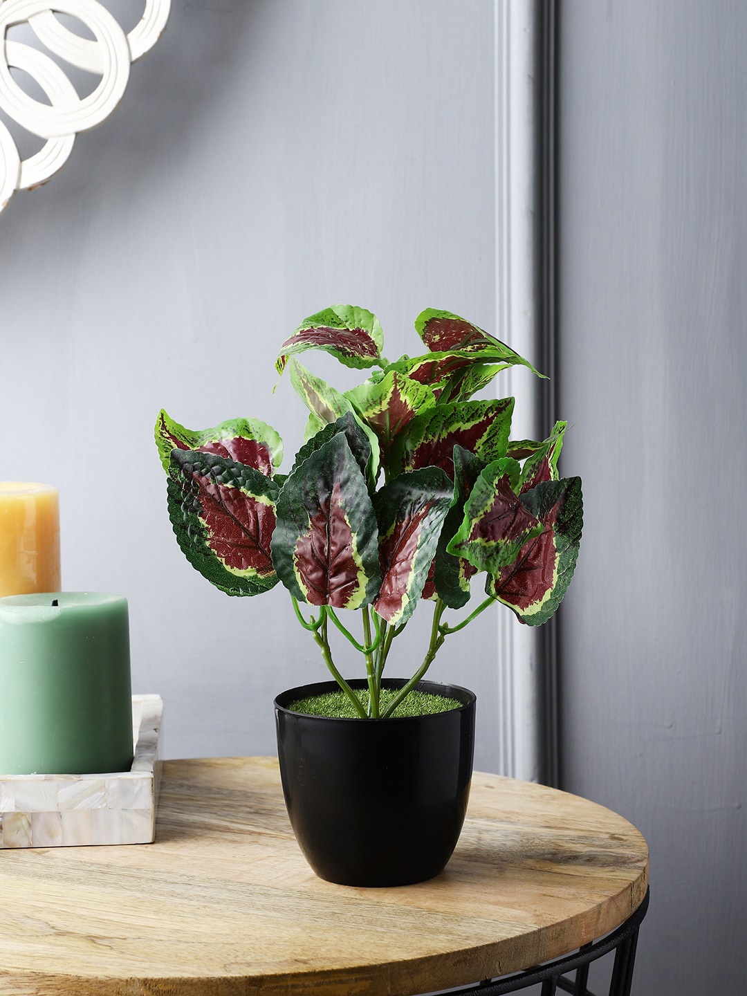 

FOLIYAJ Green & Red Artificial Coleus Plant with Pot