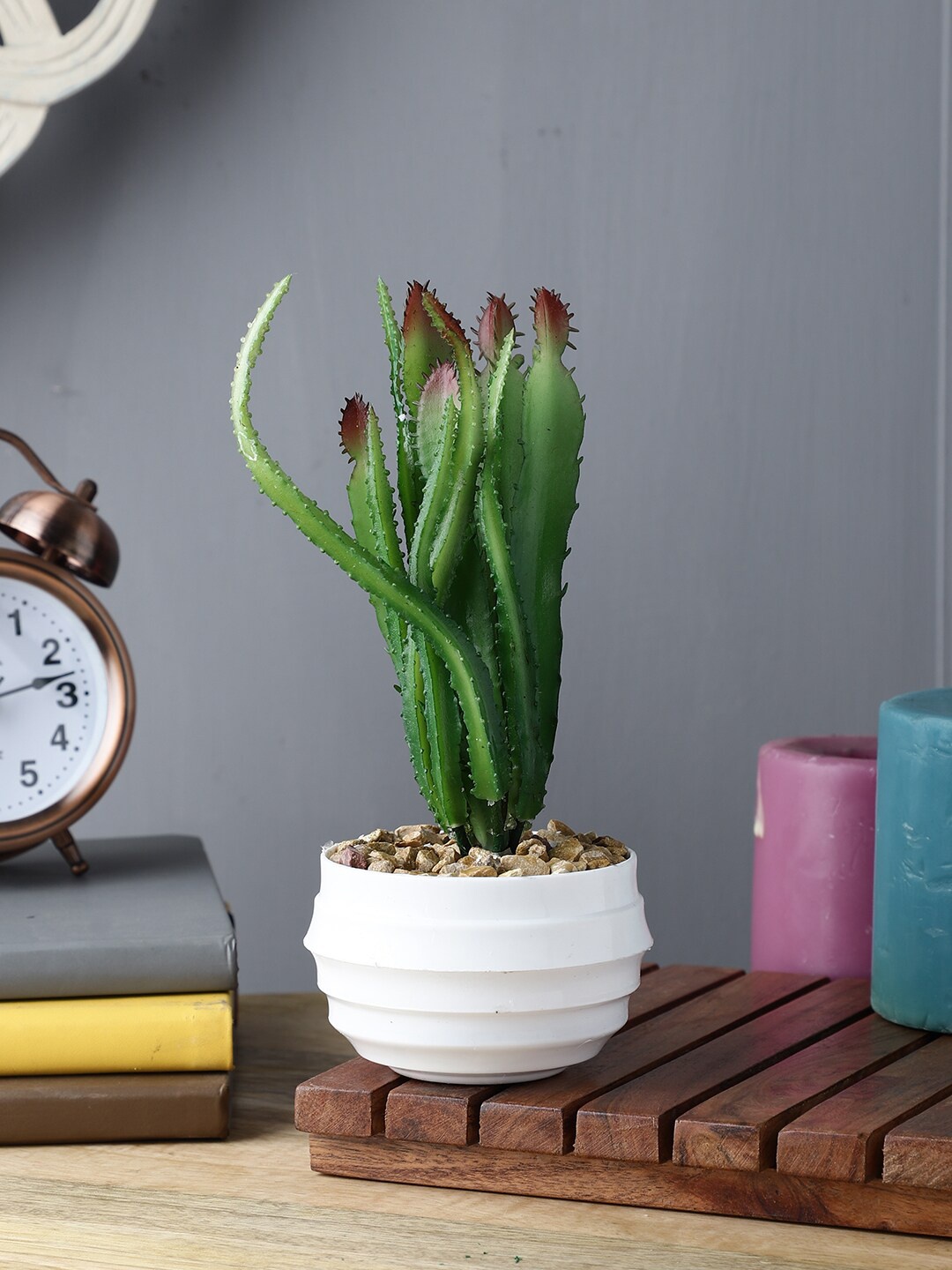 

FOLIYAJ Green & White Artificial Cactus Plant With Pot