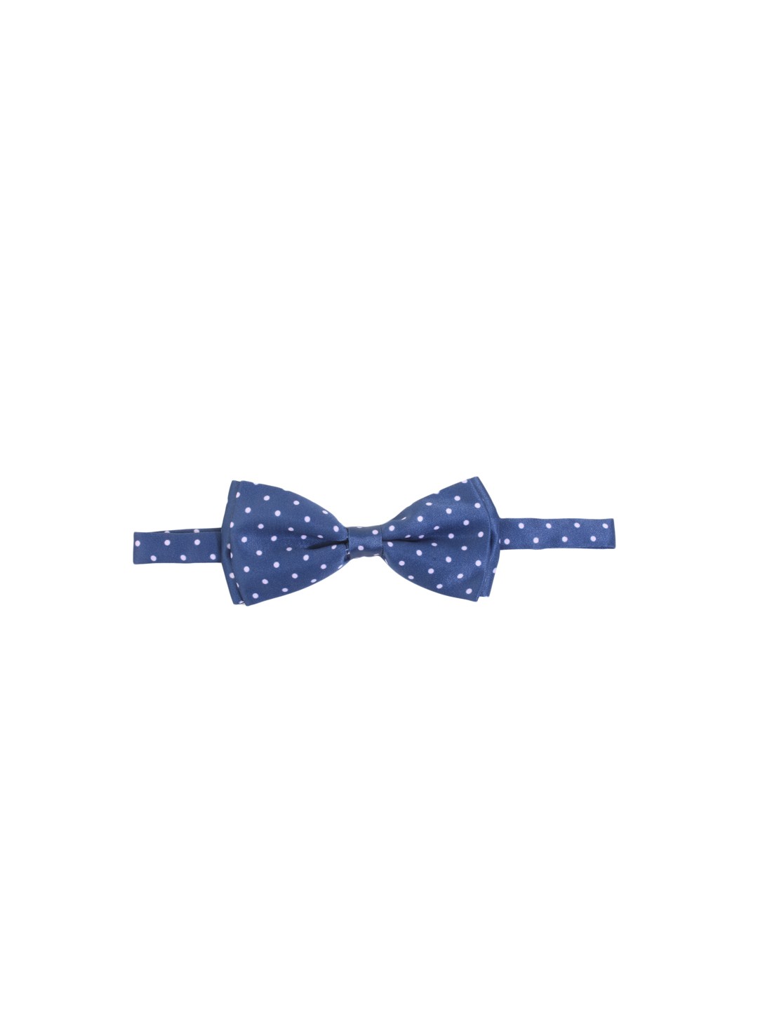

Alvaro Castagnino Blue Printed Bow Tie