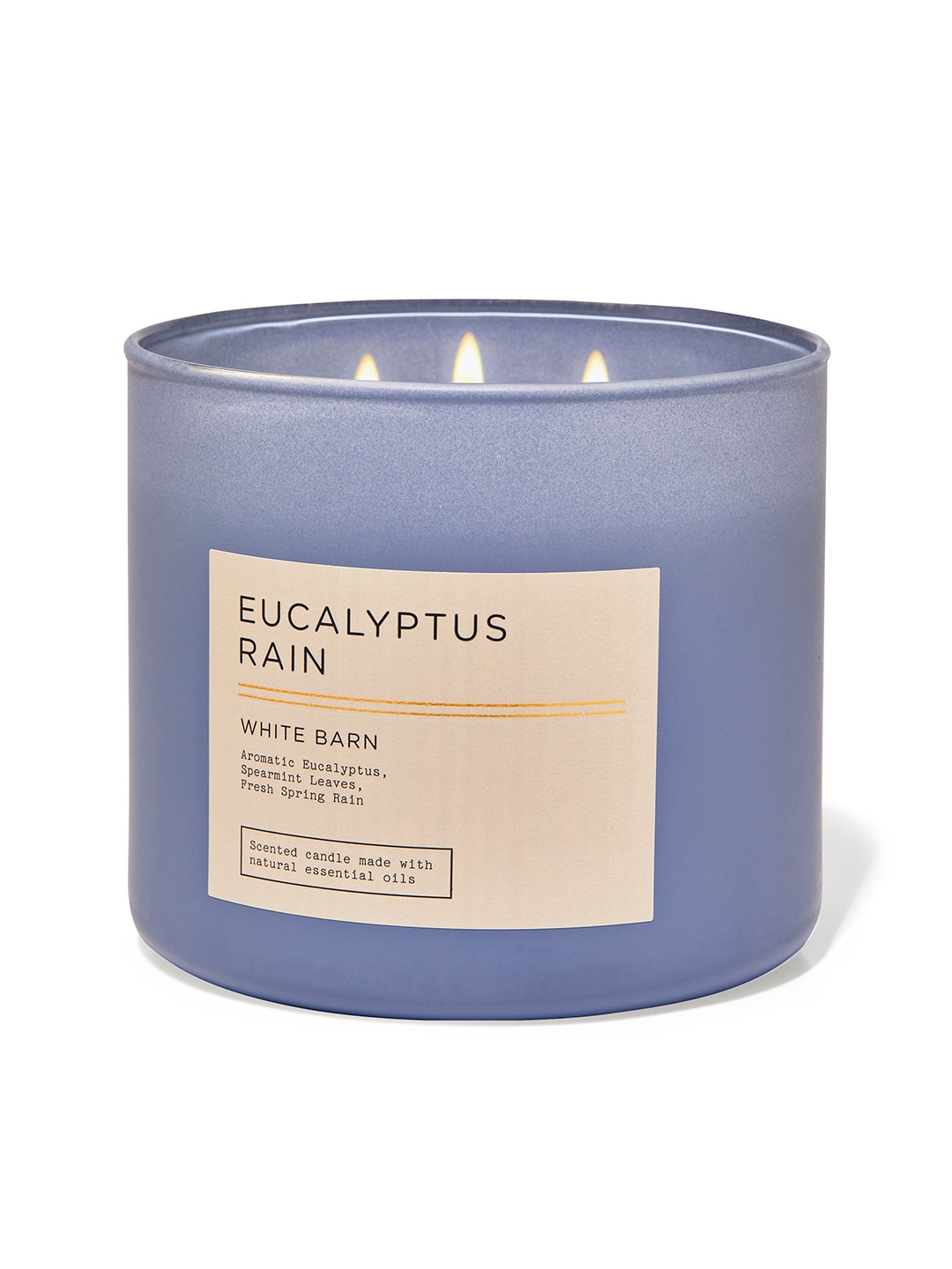 

Bath & Body Works Eucalyptus Rain 3-Wick Scented Candle - 411 g, Green