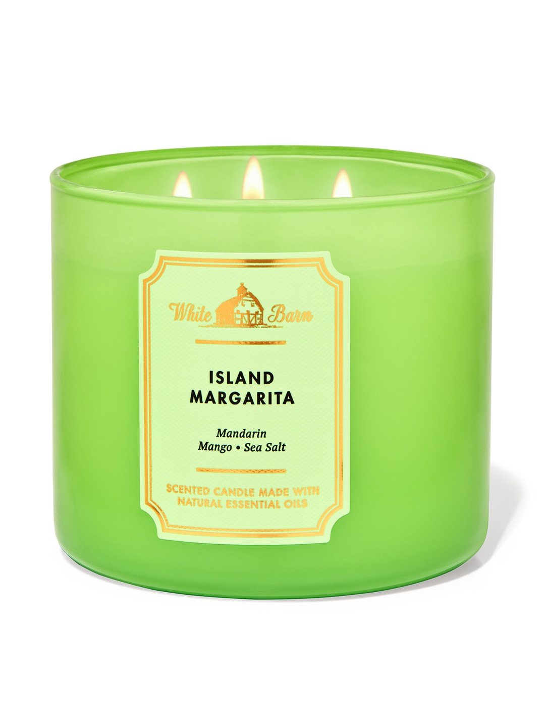

Bath & Body Works Island Margarita 3-Wick Scented Candle - 411 g, Green