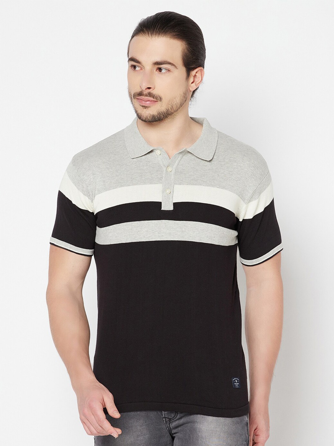 

Cantabil Men Grey Striped Polo Collar T-shirt