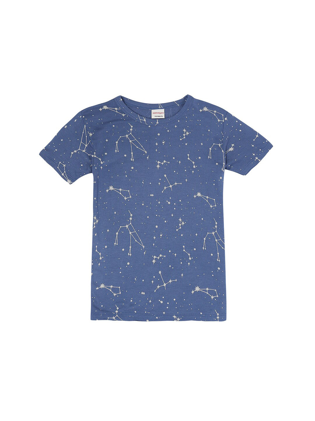

RAINE AND JAINE Boys Blue Printed T-shirt