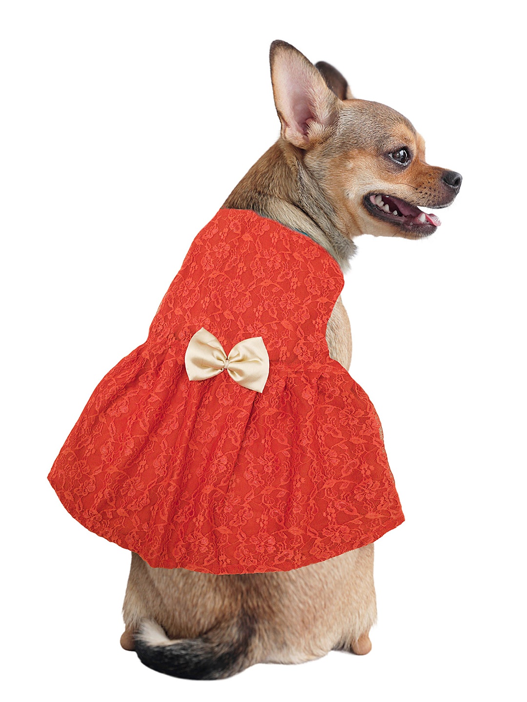 

Dchica Paws Orange Self Design Dog Dress