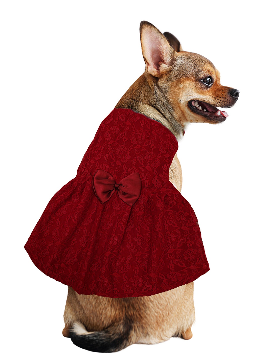 

Dchica Paws Maroon Self Design Dog Dress