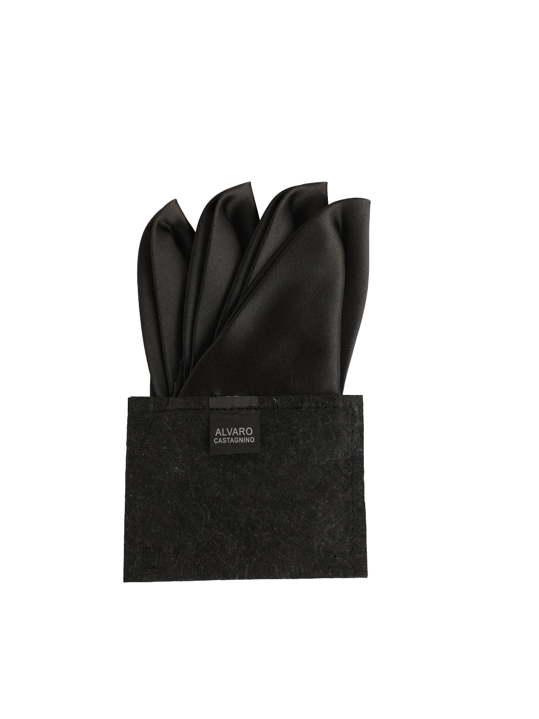 

Alvaro Castagnino Men Black Solid Pocket Square