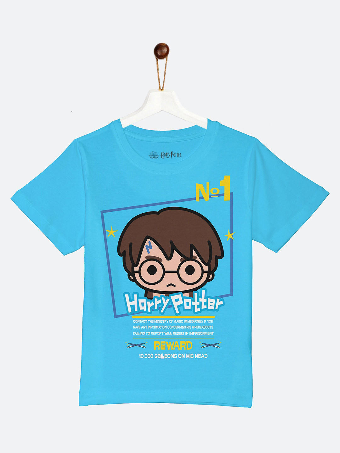 

YK Warner Bros Boys Sky Blue Harry Potter Graphic Printed T-shirt