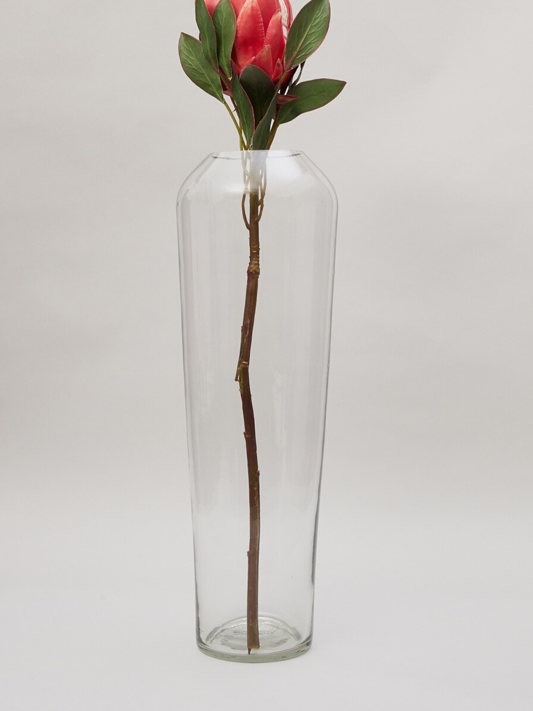 

Home Centre Transparent Contour Glass Floor Vase