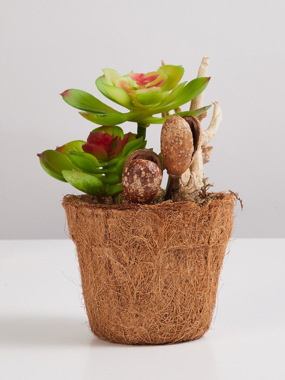 

Home Centre Green Corsica Eden Glass Succulent Planter