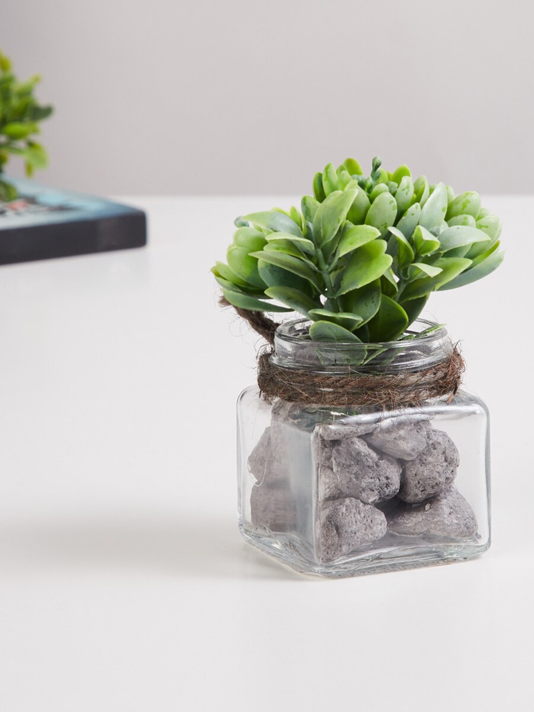 

Home Centre Green & Transparent Corsica Eden Green Artificial Succulent With Glass Jar