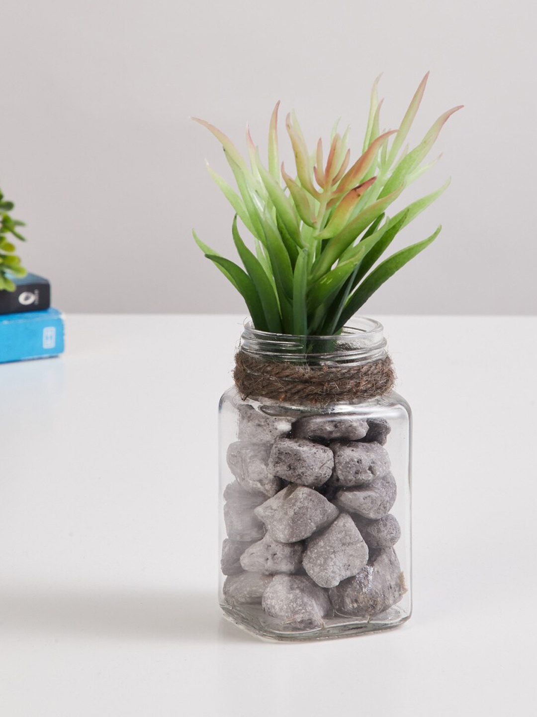 

Home Centre Green Corsica Eden Glass Small Planter with Succulent