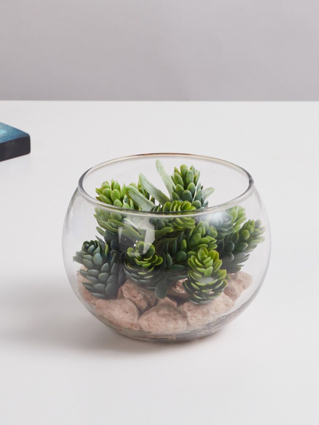 

Home Centre Green Corsica Eden Transparent Artificial Plant Glass Jar