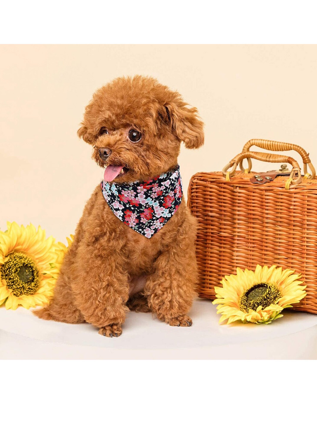 

PAWCHIE Black Floral Digitally Printed Dog Bandana