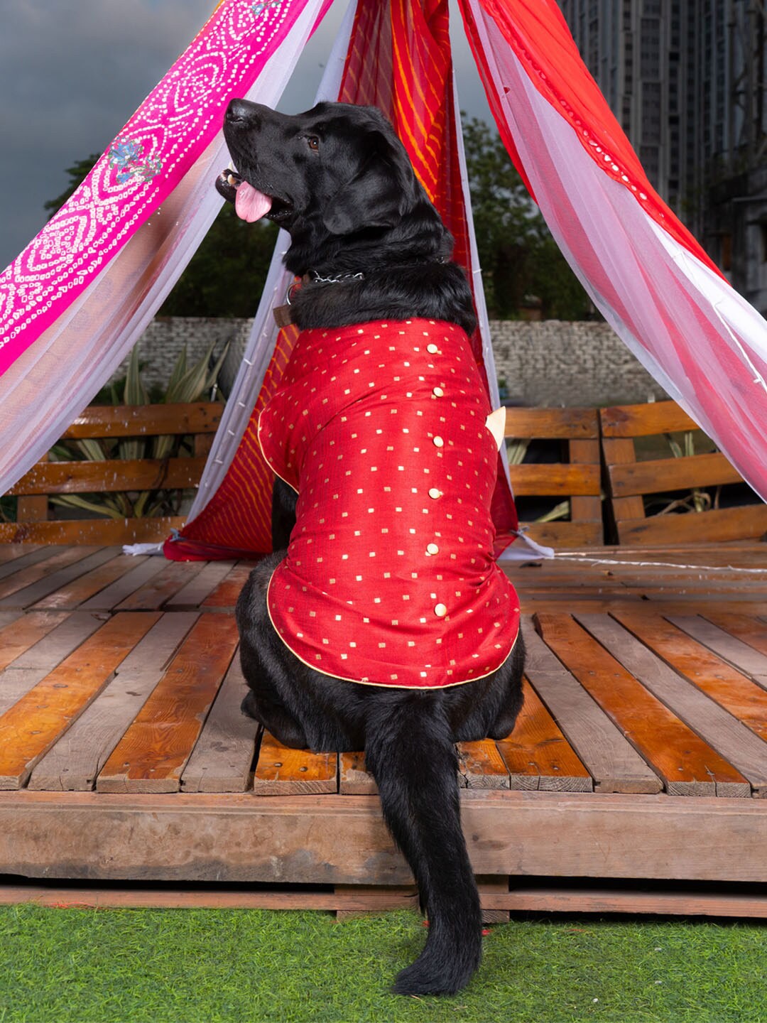 

VASTRAMAY Maroon And Gold Woven Design Silk Blend Ethnic Dog Jacket