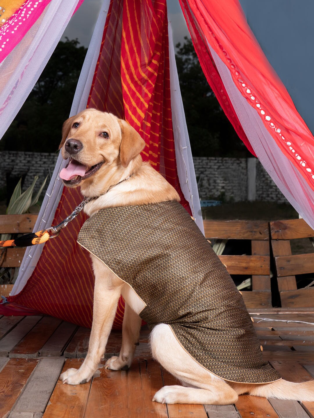 

VASTRAMAY Black Woven Silk Blend Ethnic Dog Jacket