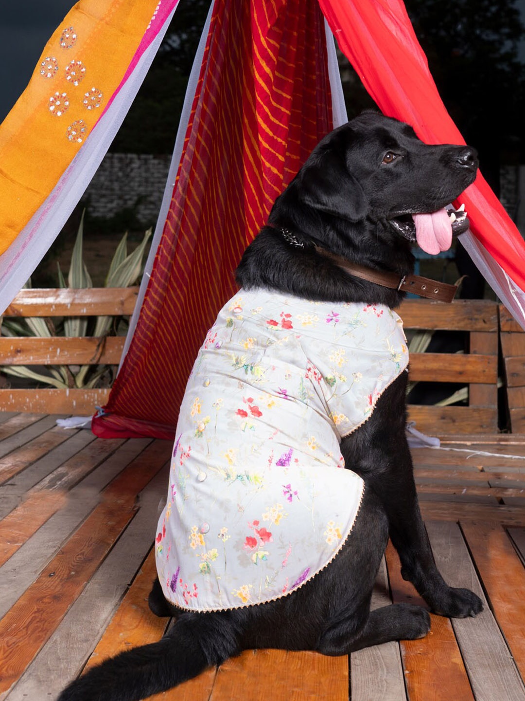 

VASTRAMAY Cream-Colored Floral Printed Cotton Blend Ethnic Dog Jacket