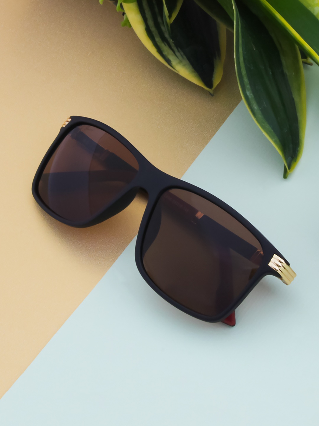 

Ted Smith Unisex Brown Lens & Black Wayfarer Sunglasses with UV Protected Lens