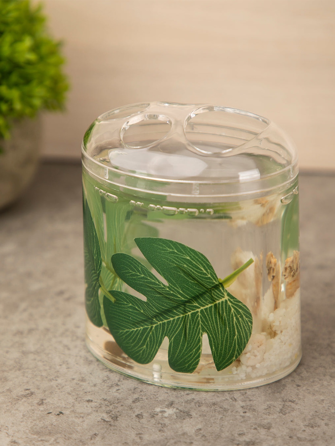 

MARKET99 Green & Transparent Tooth Brush Holder