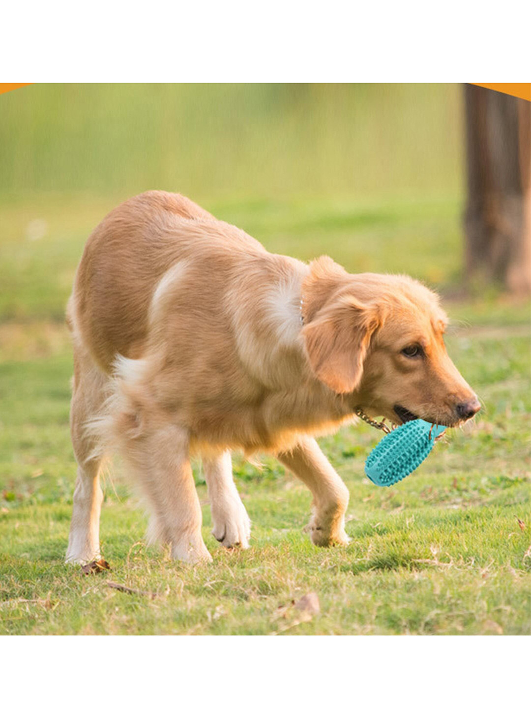 

Pawsindia Blue Solid Dental Dog Toy