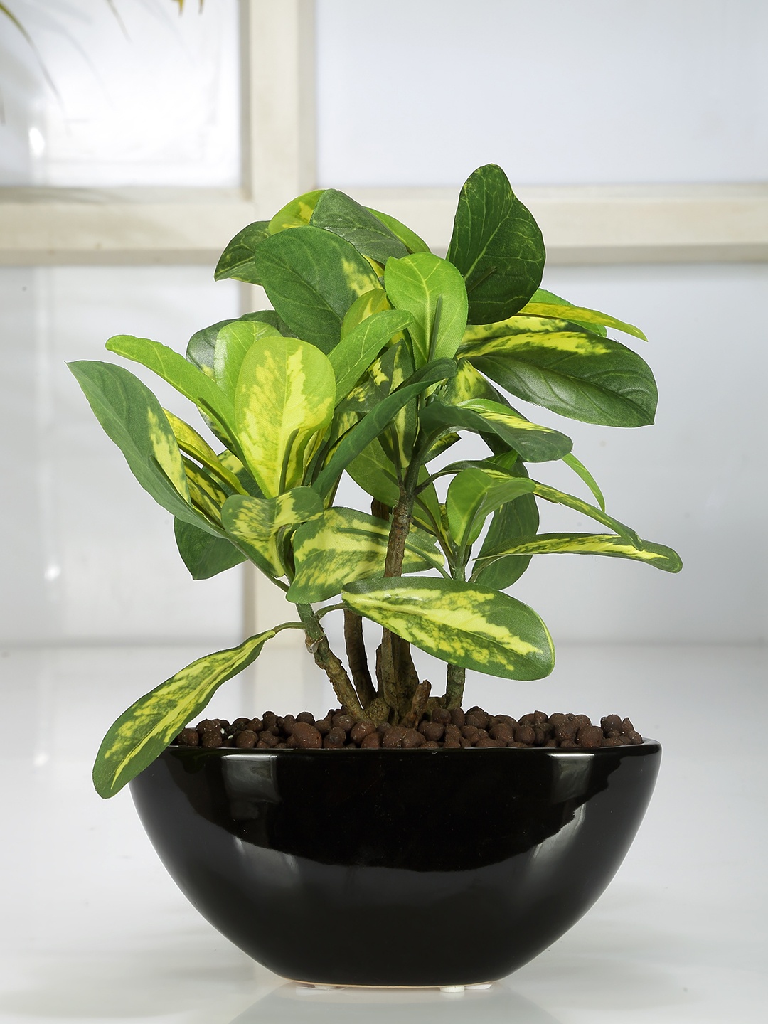 

Fourwalls Green & Black Artificial Schefflera Bonsai Plant with Ceramic Pot