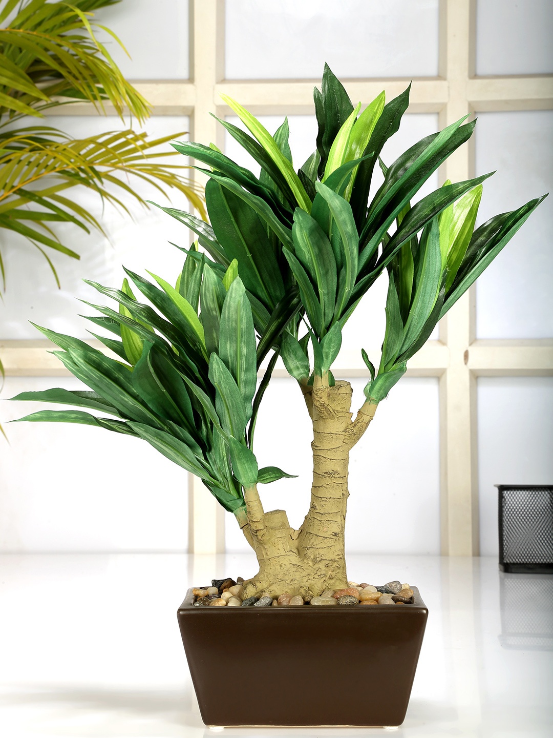 

Fourwalls Green & Brown Artificial Dracaena Bonsai Plant