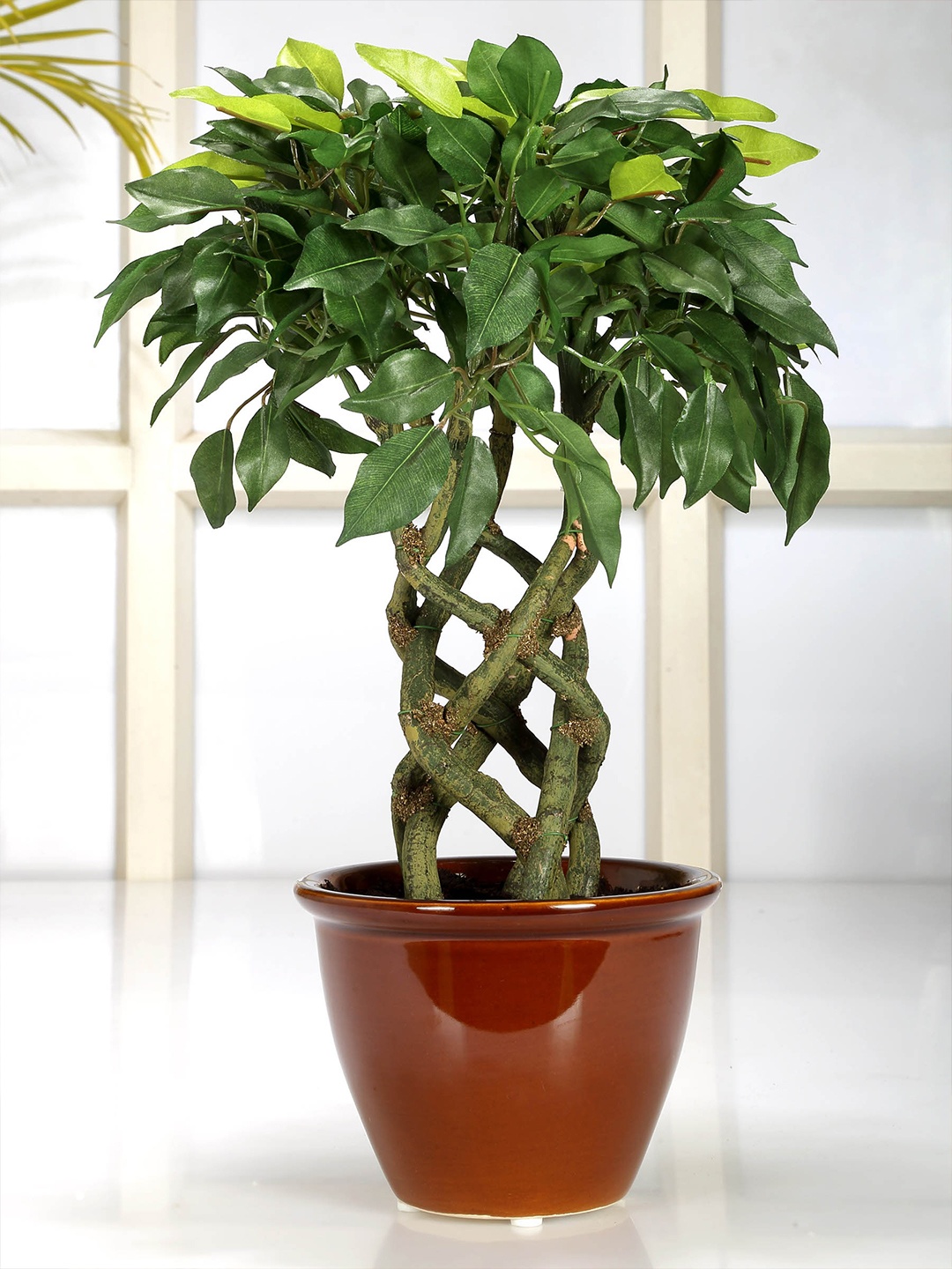 

Fourwalls Green Artificial Ficus Bonsai Plant, Brown