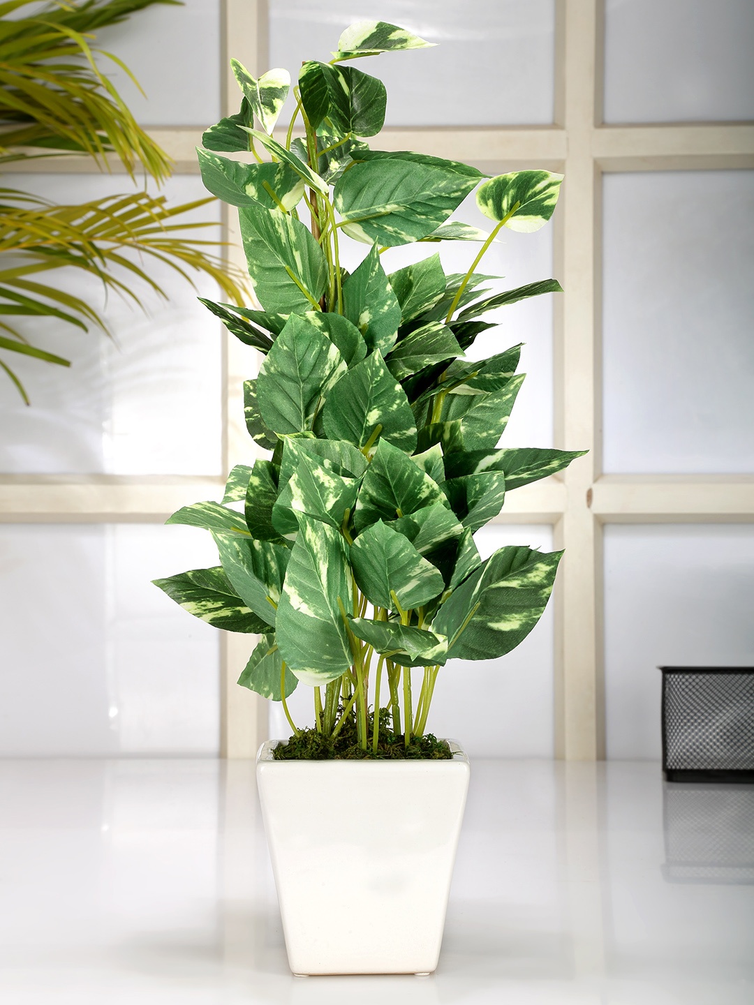 

Fourwalls Green & White Artificial Pothos Bonsai Plant With Ceramic Pot