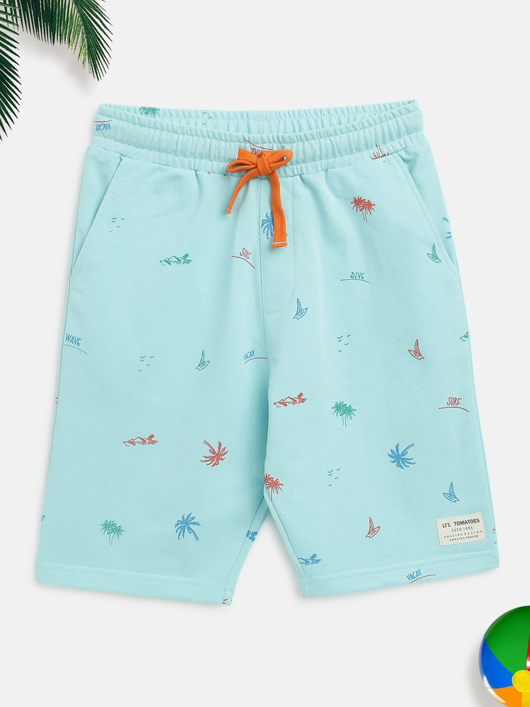 

Lil Tomatoes Boys Blue Conversational Printed Shorts