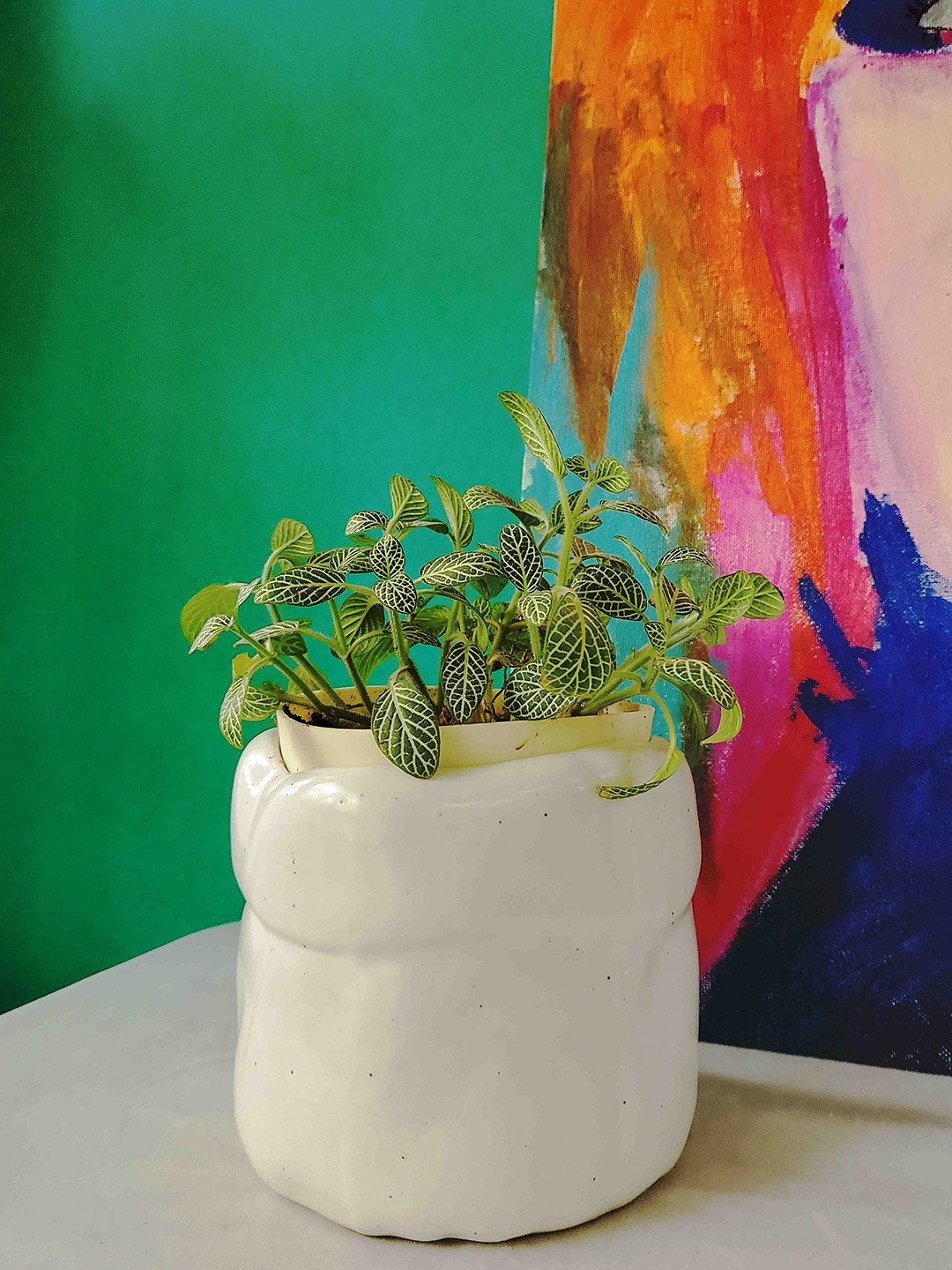 

Folkstorys White Solid Chamapagne Planter Pots