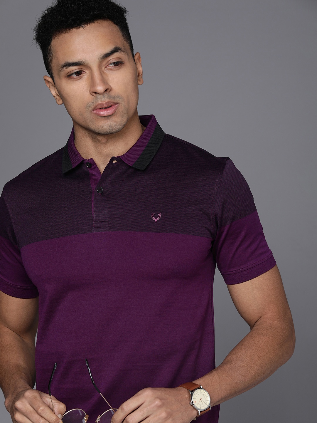 

Allen Solly Self Design Colorblocked Polo Collar Pure Cotton T-shirt, Purple