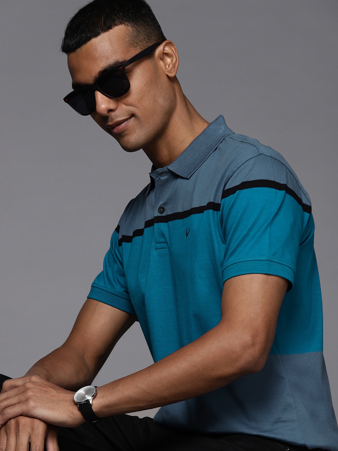 

Allen Solly Men Blue Pure Cotton Colorblocked Polo Collar T-shirt