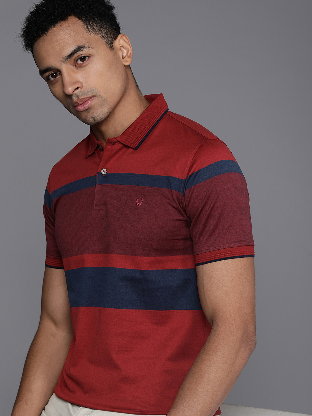 

Allen Solly Self Design Colorblocked Polo Collar Pure Cotton T-shirt, Maroon