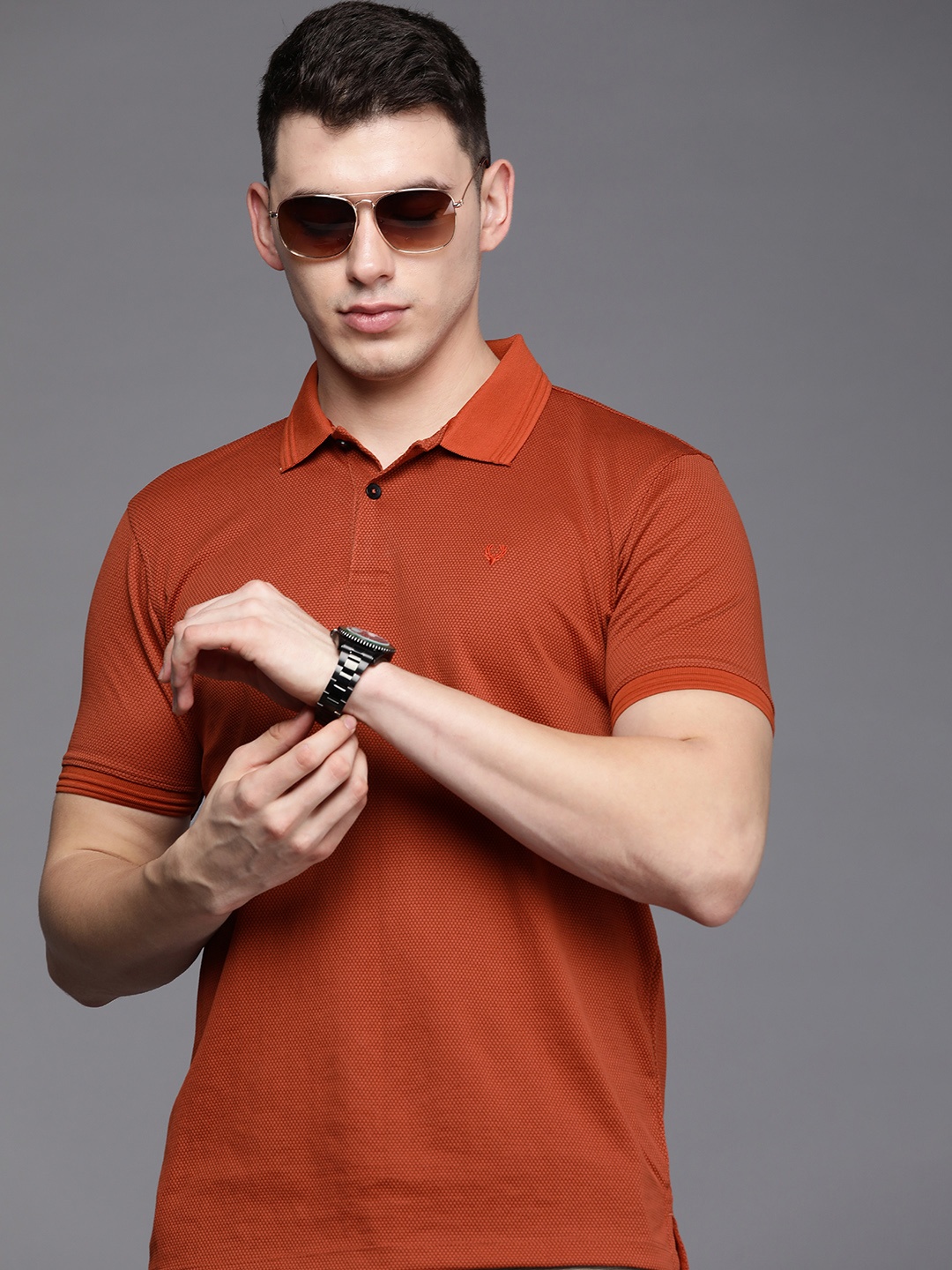 

Allen Solly Men Rust Red Self Design Polo Collar Casual T-shirt