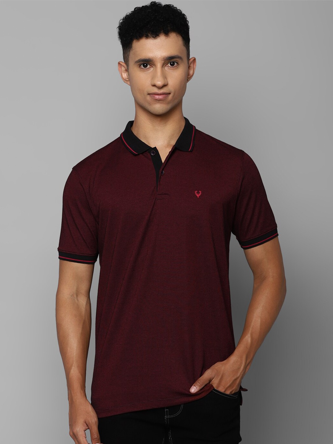 

Allen Solly Men Maroon Polo Collar T-shirt