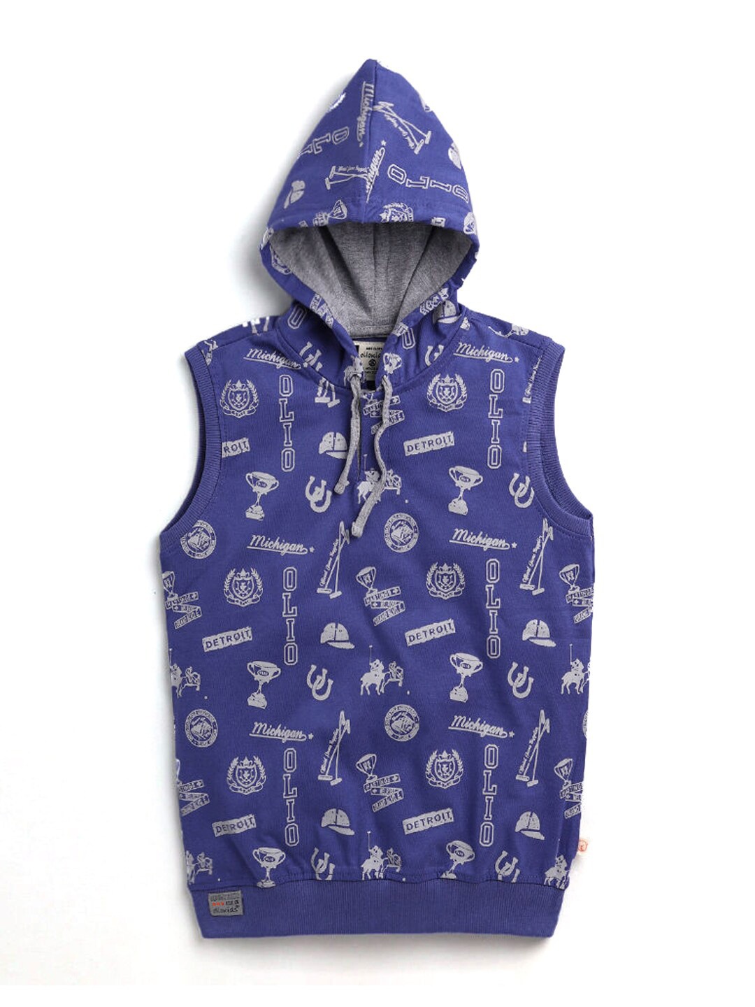 

Hopscotch Boys Blue Printed Hooded T-shirt