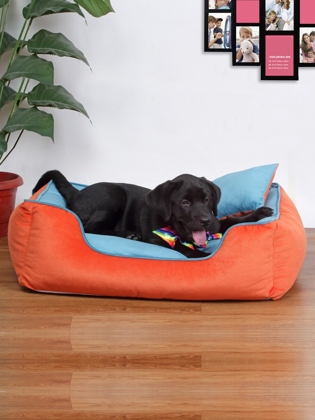 

WIGGLE TWIDDLE Orange & Blue Solid Rectangular Pet Bed