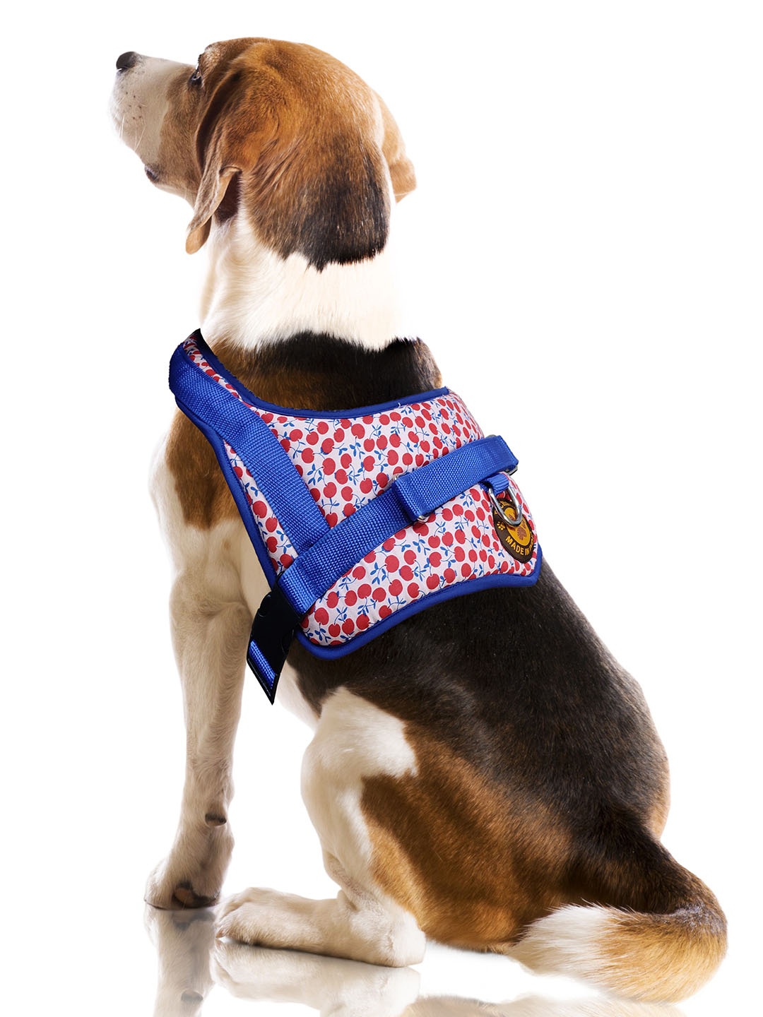 

Dchica Paws Blue Self-Design Dog Harness With Martinhgale Loop