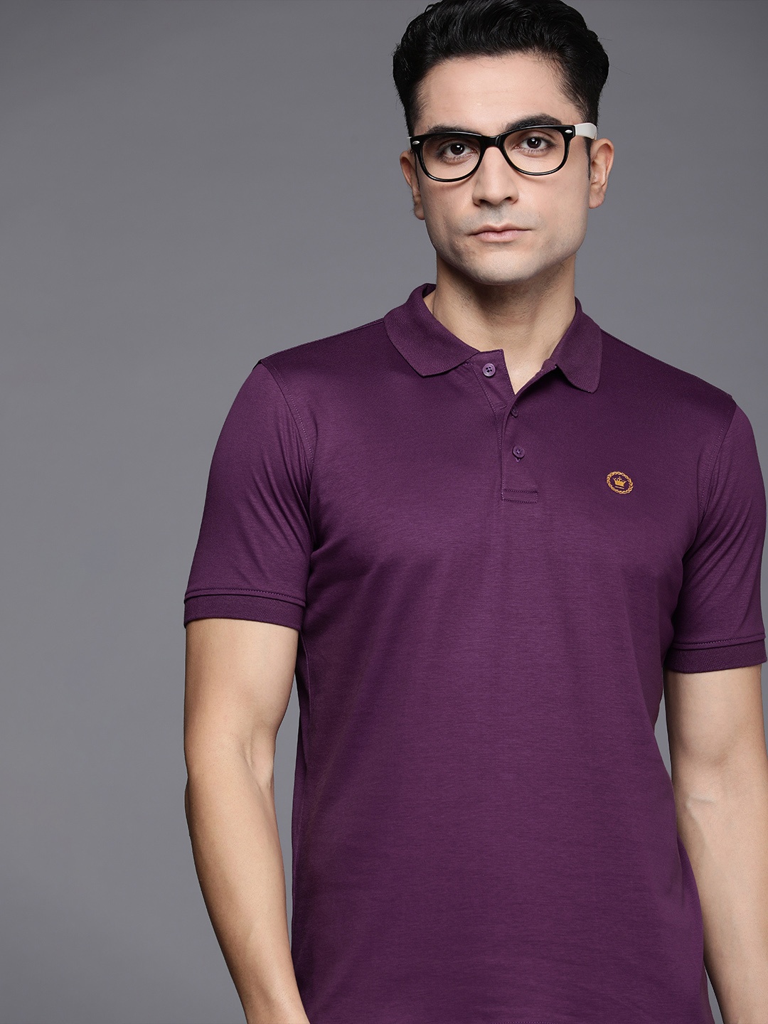 

Louis Philippe Men Purple Polo Collar Pure Cotton T-shirt