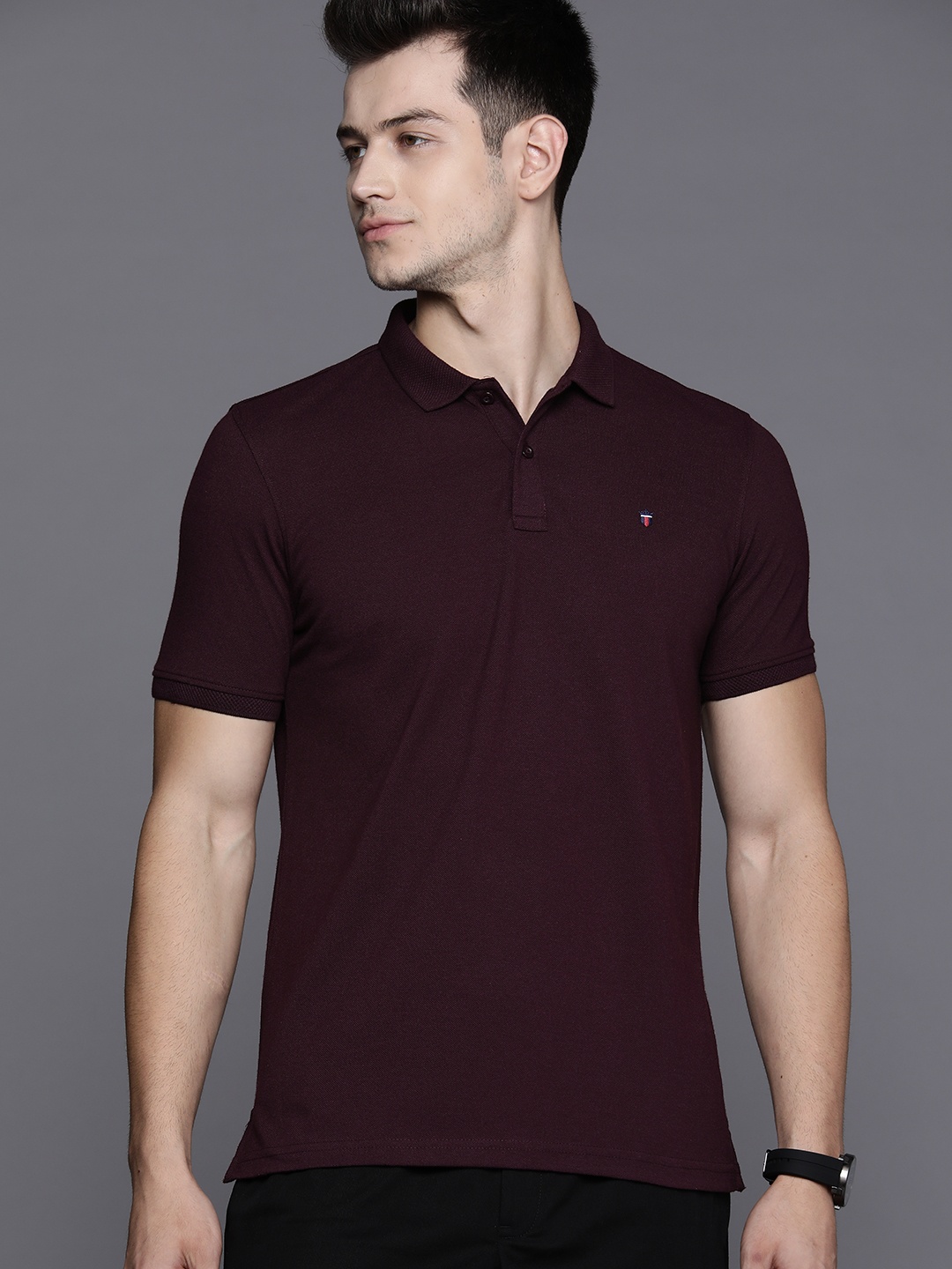 

Louis Philippe Sport Men Burgundy Solid Polo Collar T-shirt