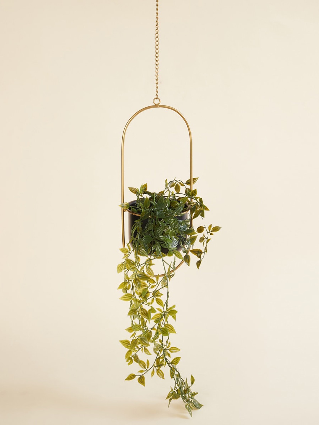 

Home Centre Black & Gold-Toned Solid Ceramic Hanging Planter