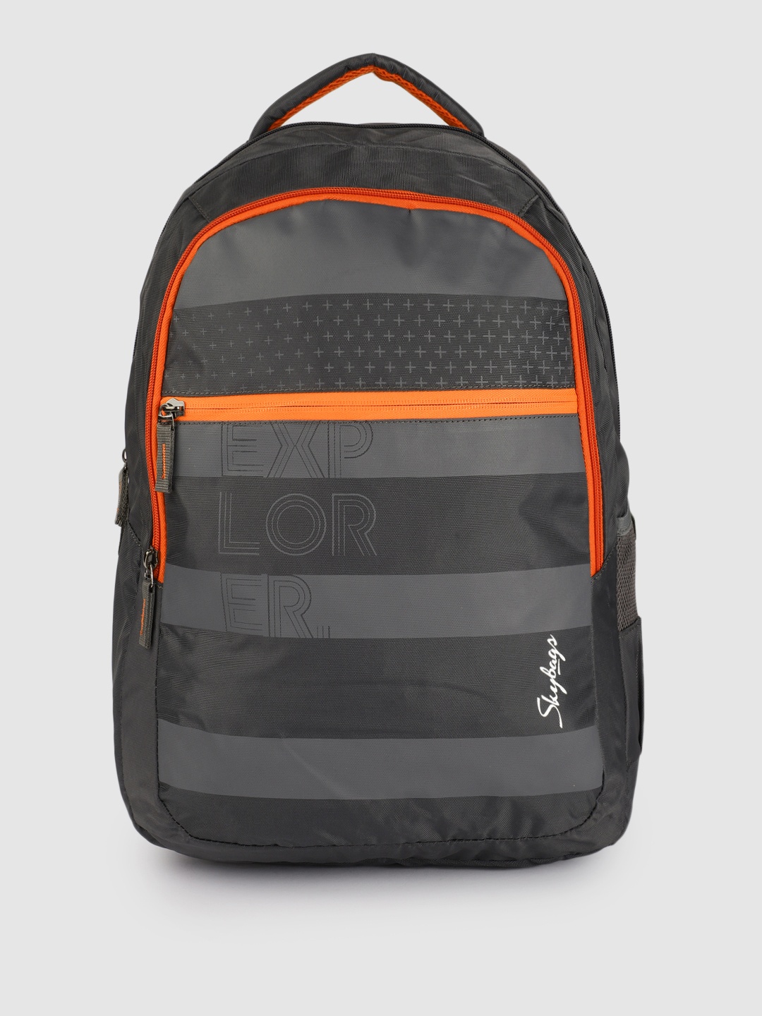 

Skybags Unisex Grey Striped Backpack