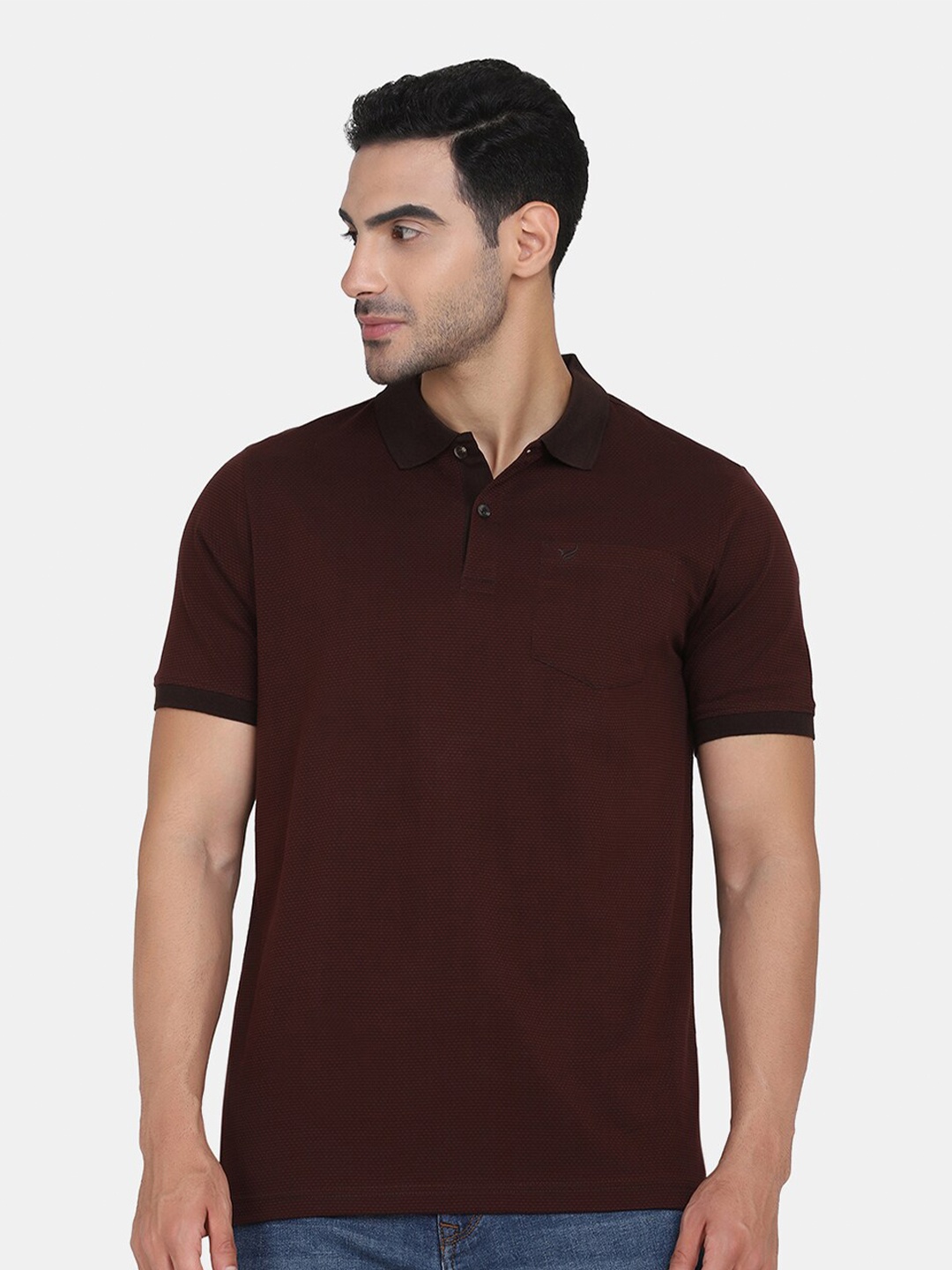 

Blackberrys Men Brown Polo Collar Slim Fit T-shirt