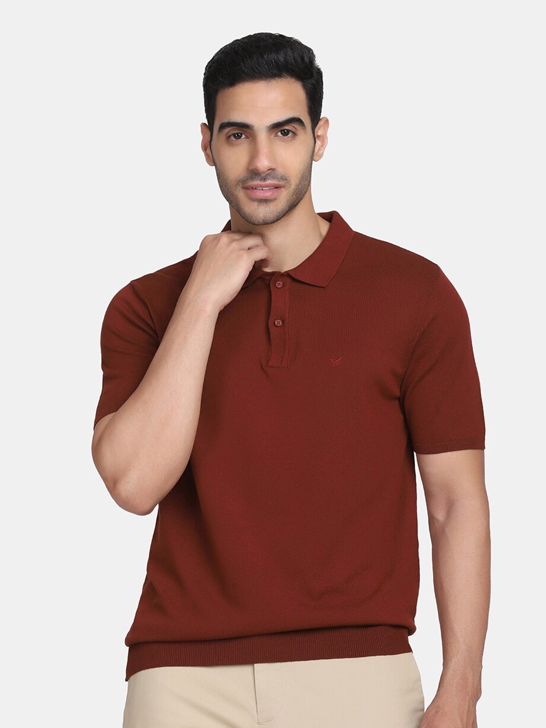 

Blackberrys Men Rust Maroon Polo Collar Slim Fit T-shirt