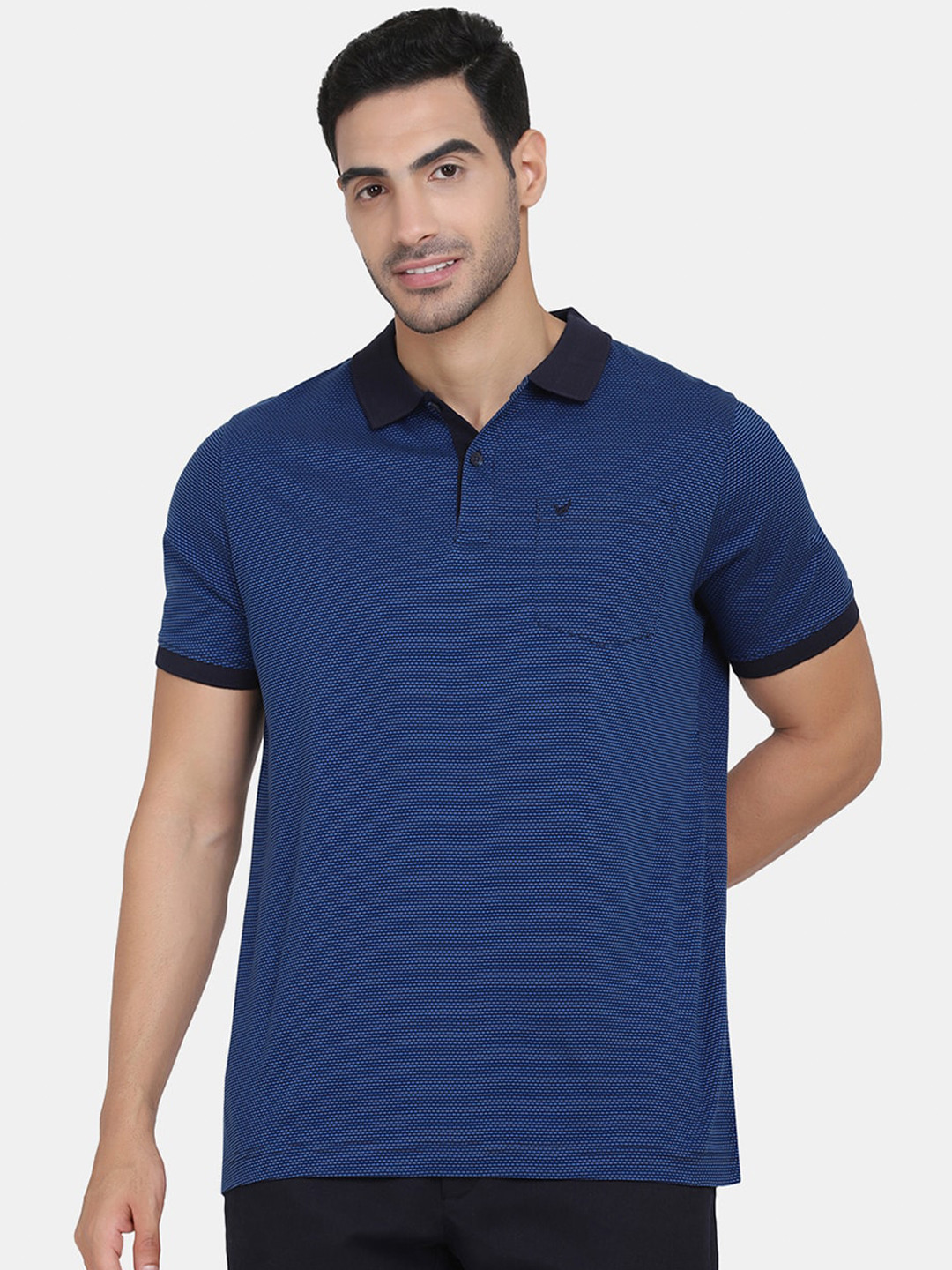 

Blackberrys Men Navy Blue Polo Collar Slim Fit T-shirt