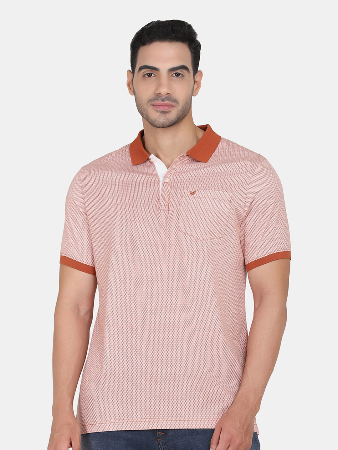 

Blackberrys Men Mercerized Polo Tshirt, Brown
