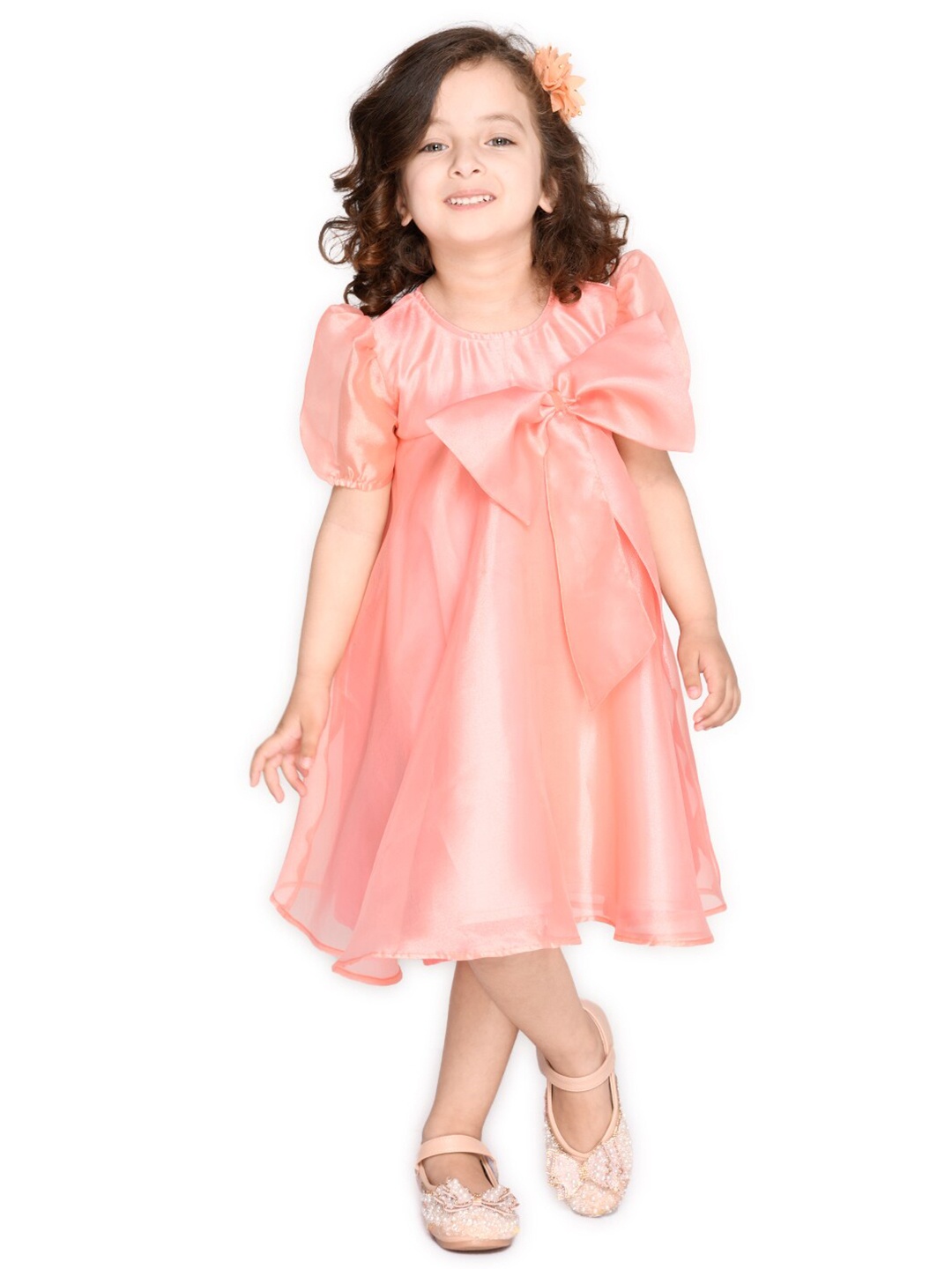 

SAKA DESIGNS Peach-Coloured Net A-Line Dress