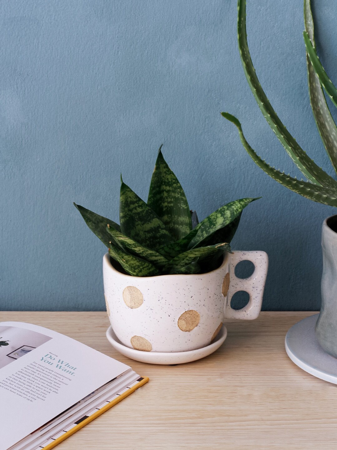 

The Wishing Chair Off White Polka Dot Teacup Planter